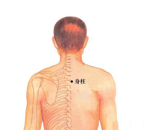 中柱穴|腧穴列表